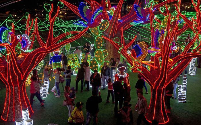 Ежегодная выставка из миллионов лампочек в Медельине