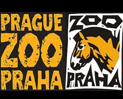 зоопарк в Праге ночью