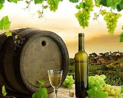 отдых в Испании и вино
