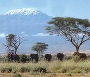 Плоскогорье Масаи с видом на Килиманджаро