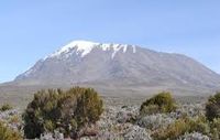Национальном парке Килиманджаро