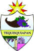 герб Текискиапана в Мексике