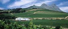 Виноградники Laibach Vineyards в ЮАР