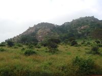 Гора Лонгонот в Кении
