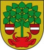 герб Валмиера Латвии