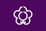 флаг Тэнри в Японии
