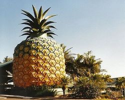 16-метровый ананас