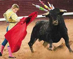 коррида в Испании