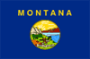 флаг штата Монтана США