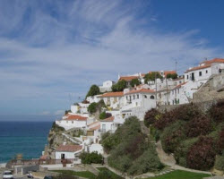 отдых в Португалии для любителей орнитологии