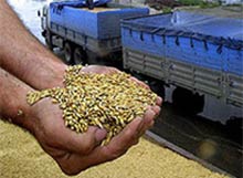 поставки зерна в Россию