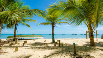 Порту-Сегуру. Отель Praia de Curuipe. Бразилия. Вебкамера