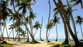 Лас-Терренас. Пляж Playa La Bonita. Атлантический океан. Доминикана. Вебкамера
